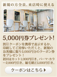 VK̕SAXɎg 5,000~v[g!